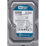 Western Digital Caviar Blue 320 GB download_1297781585